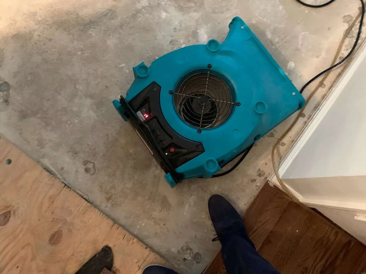 Air mover drying subfloor during Leak Detection & Repair in Sienna